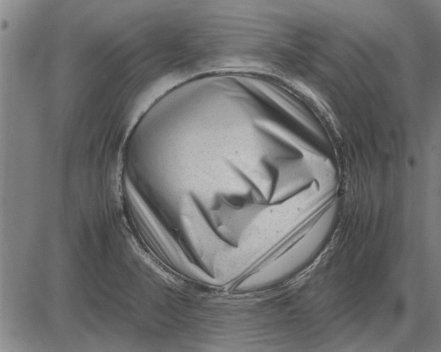 X0000081451374200702021731