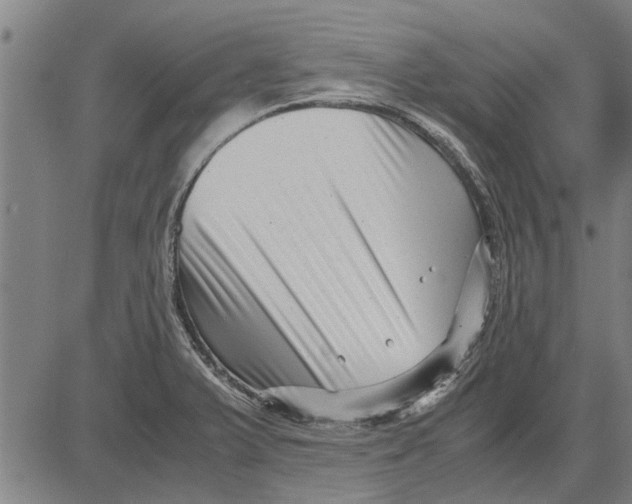 X0000081451375200702021731