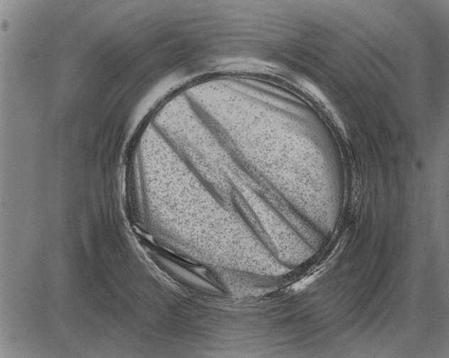 X0000081451376200702021731