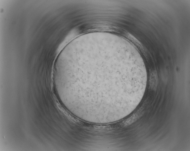 X0000081451378200702021731