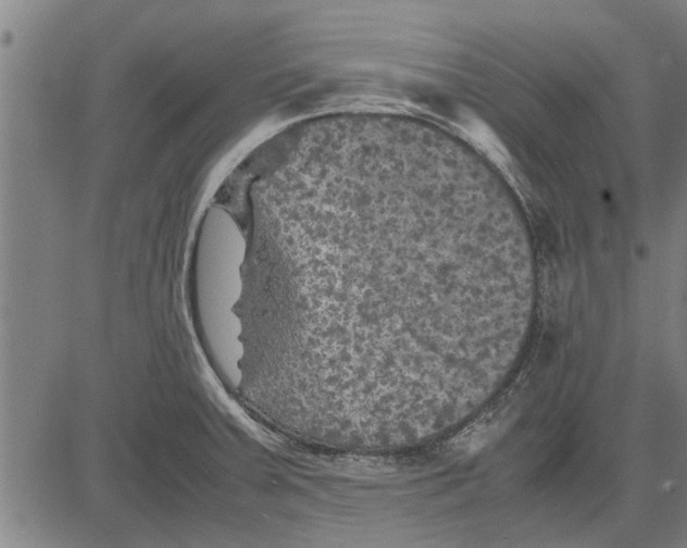 X0000081451379200702021731