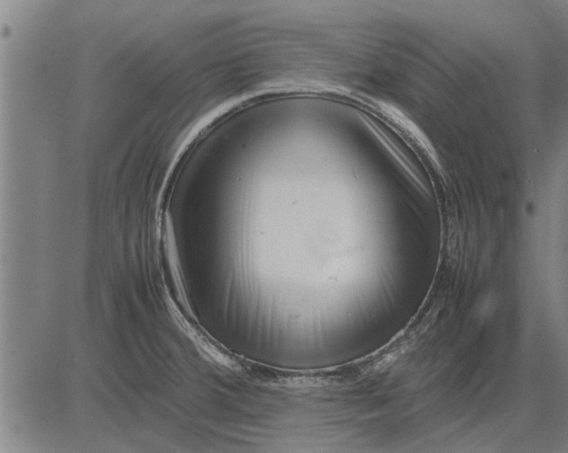 X0000081451380200702021731