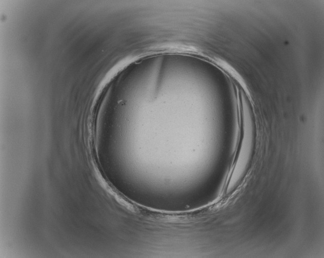 X0000081451381200702021731