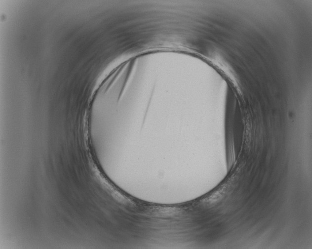 X0000081451382200702021731