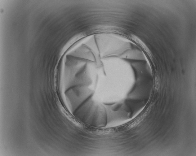 X0000081451386200702021731