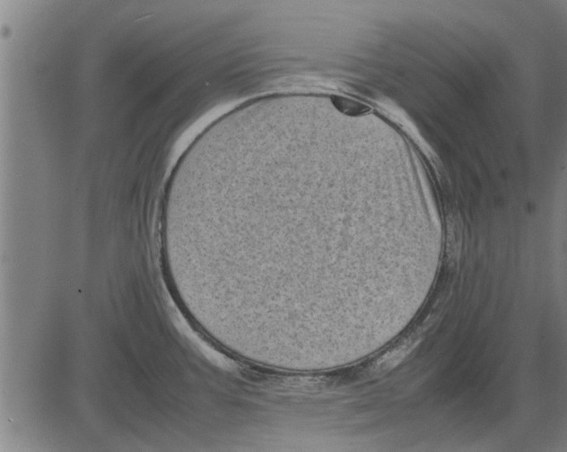 X0000081451387200702021731