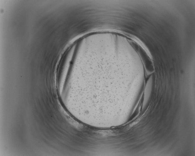 X0000081451388200702021731