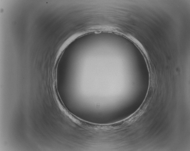 X0000081451389200702021731