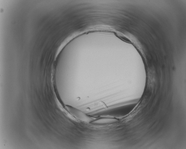 X0000081451390200702021731