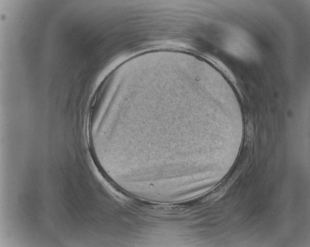 X0000081451391200702021731