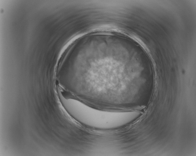 X0000081451392200702021731