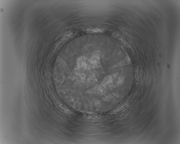 X0000081451393200702021730