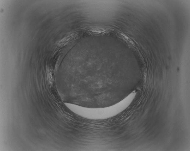 X0000081451394200702021730