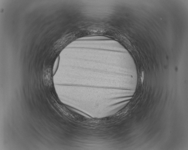 X0000081451396200702021730