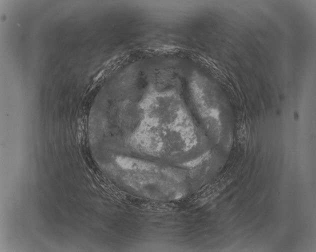 X0000081451397200702021730