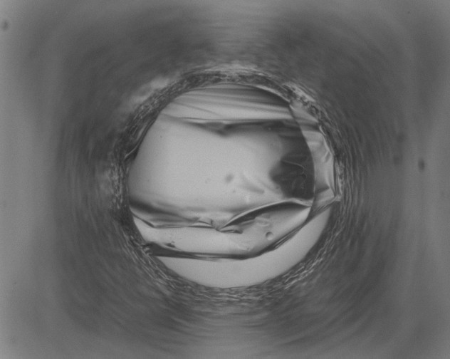 X0000081451398200702021730