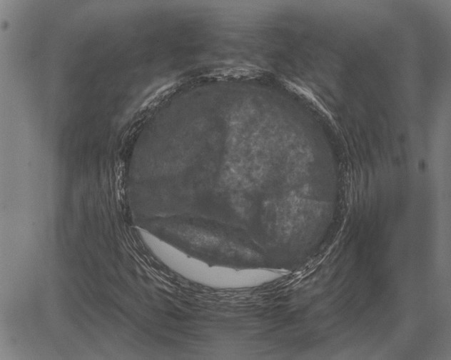 X0000081451399200702021730