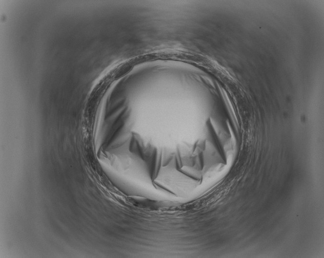 X0000081451400200702021730