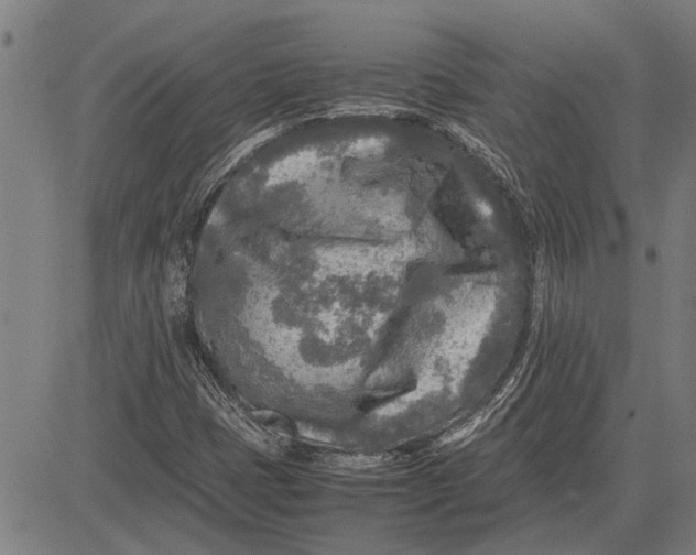 X0000081451401200702021731