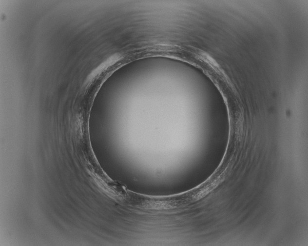 X0000081451402200702021731