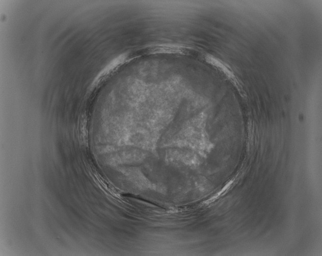 X0000081451403200702021731