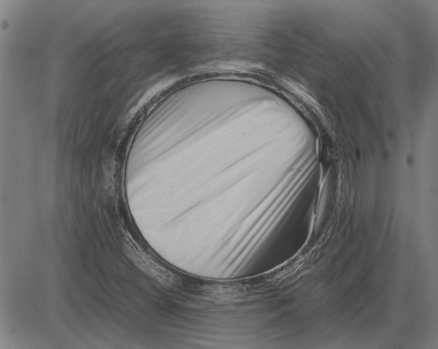 X0000081451404200702021731