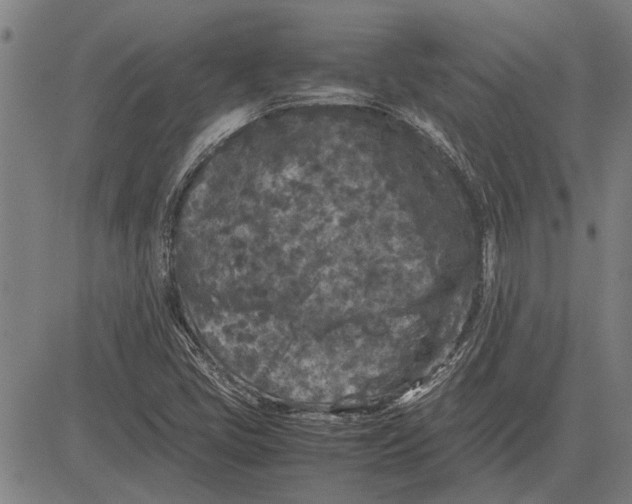 X0000081451405200702021731