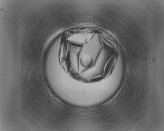 X0000081451406200702021731