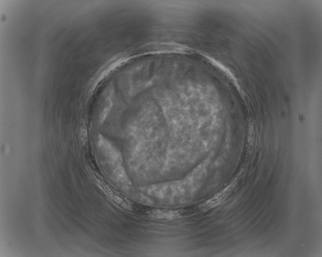 X0000081451407200702021731