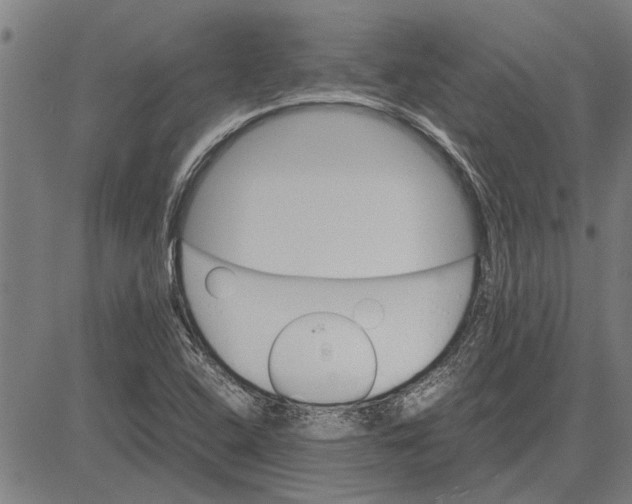 X0000081451408200702021731