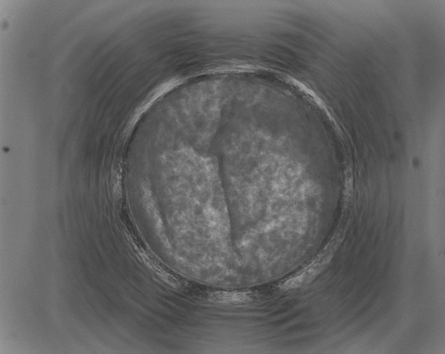 X0000081451409200702021731