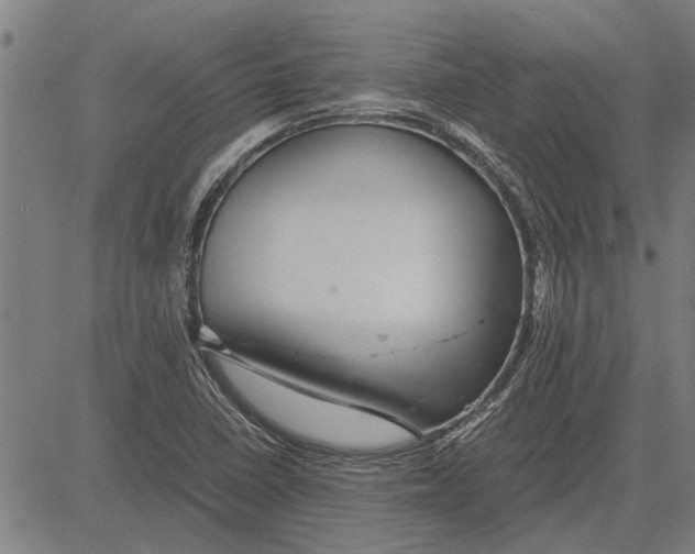 X0000081451410200702021731