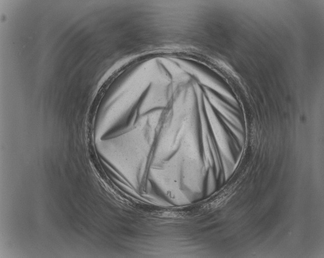 X0000081451412200702021731