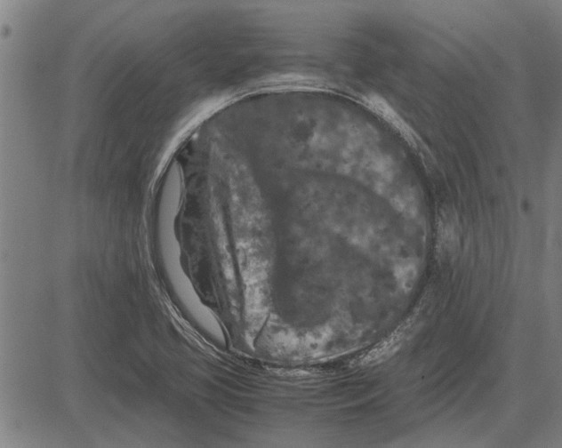 X0000081451413200702021731