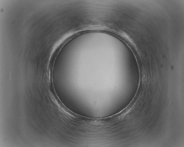 X0000081451414200702021731