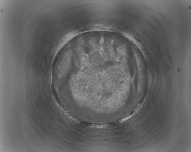 X0000081451415200702021731