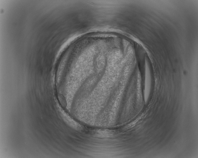 X0000081451416200702021731