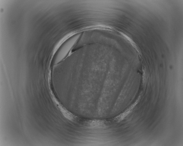 X0000081451418200702021731