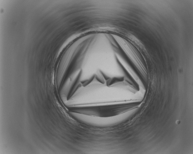 X0000081451420200702021731