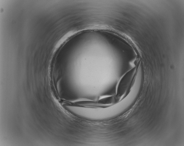 X0000081451422200702021731