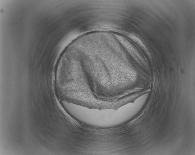 X0000081451424200702021731