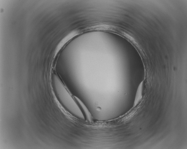 X0000081451426200702021731