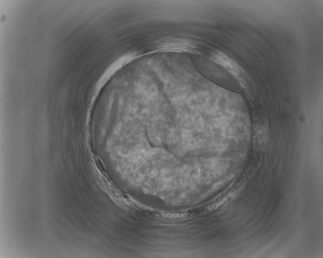 X0000081451427200702021731