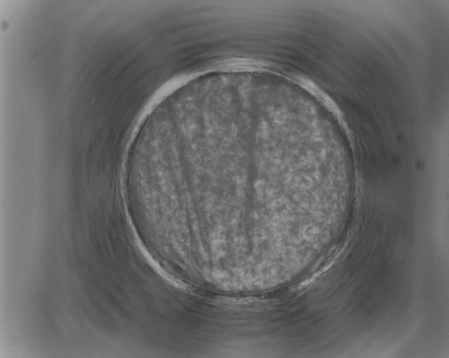 X0000081451429200702021731