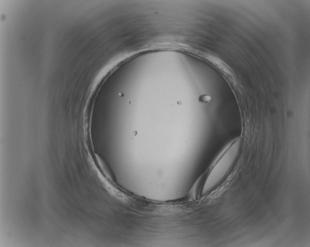 X0000081451430200702021731