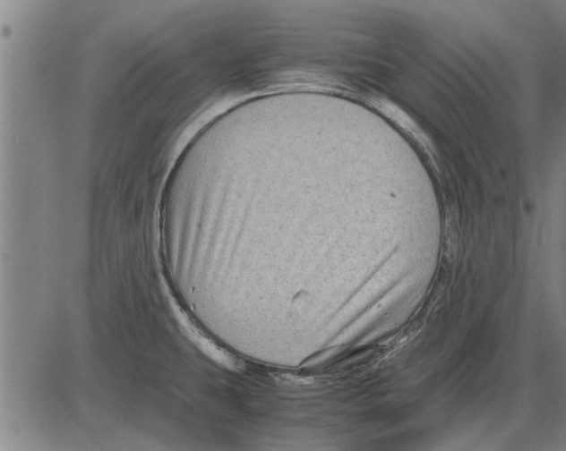 X0000081451431200702021731