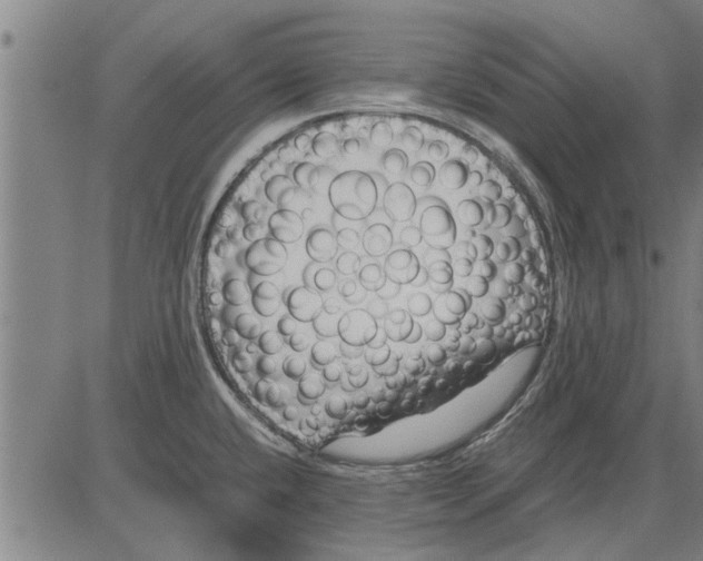 X0000081451432200702021731