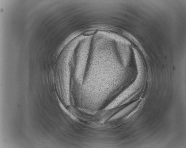 X0000081451433200702021731