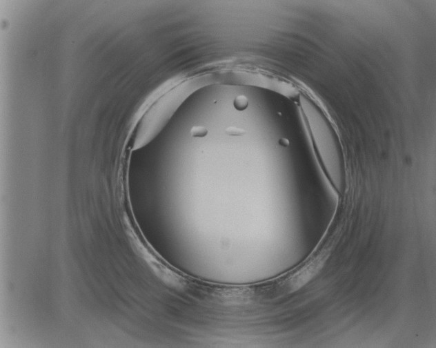 X0000081451434200702021731