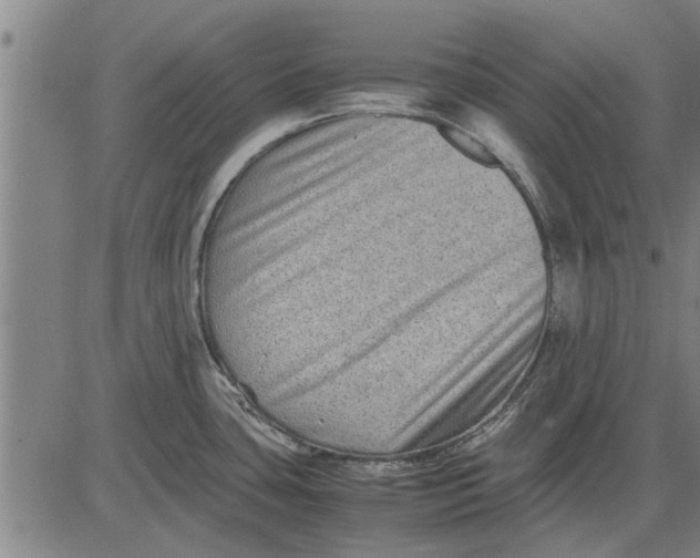 X0000081451435200702021731